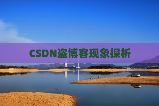 CSDN盗博客现象探析 CSDN盗博客现象探析